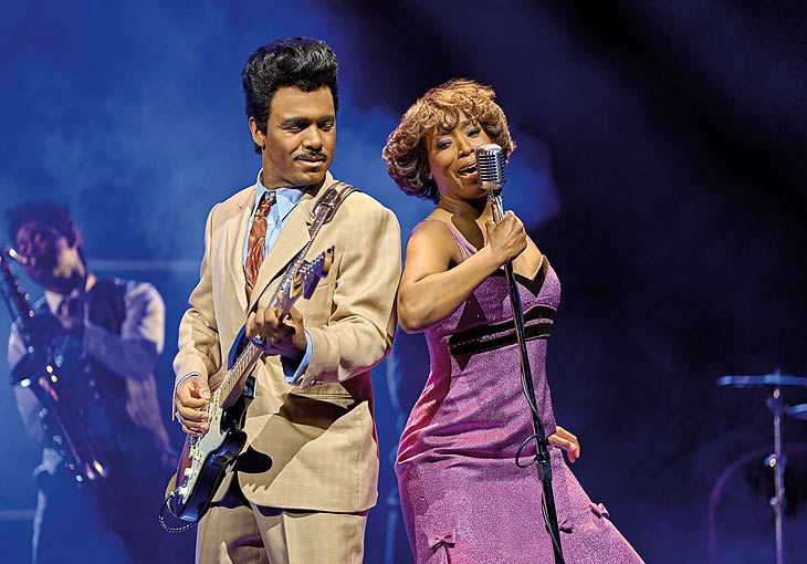 Ike & Tina Turner @ Tina -Das Tina Turner Musical (©Foto: Manuel Harlan - Stage Entertainment)